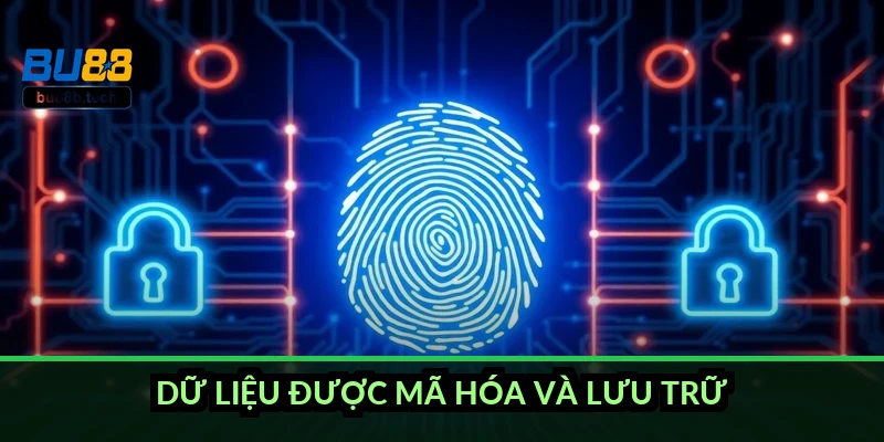Dữ liệu được mã hóa và lưu trữ thế nào?
